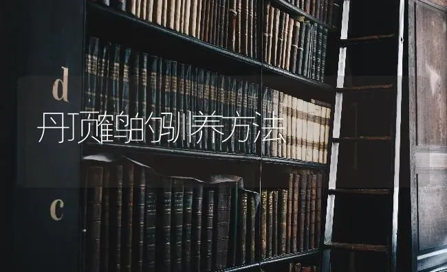 西瓜窖贮保鲜、涂抹保鲜法 | 瓜果种植