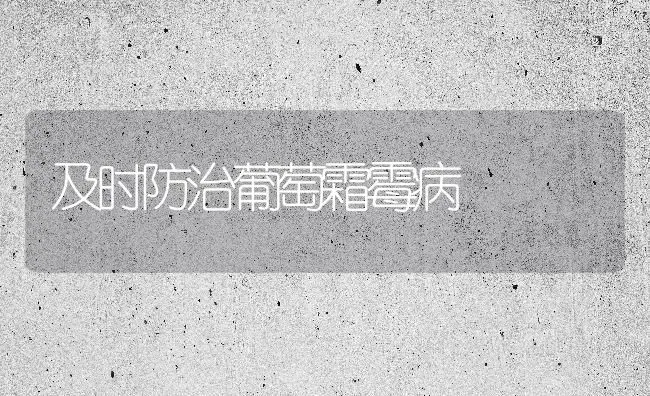 及时防治葡萄霜霉病 | 瓜果种植