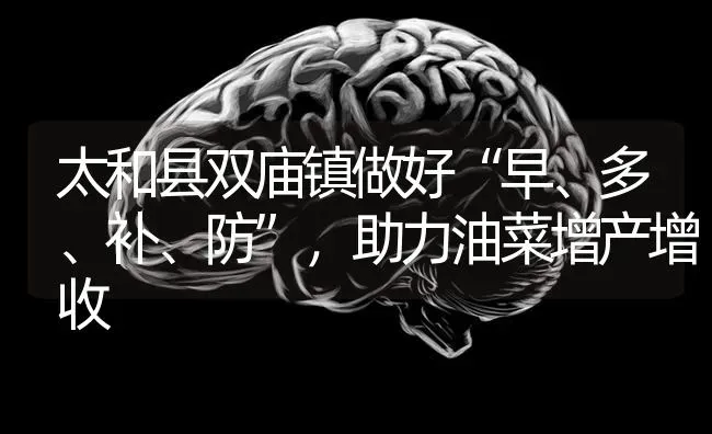 太和县双庙镇做好“早、多、补、防”，助力油菜增产增收 | 粮油作物种植