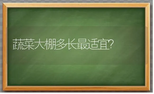 蔬菜大棚多长最适宜？ | 蔬菜种植