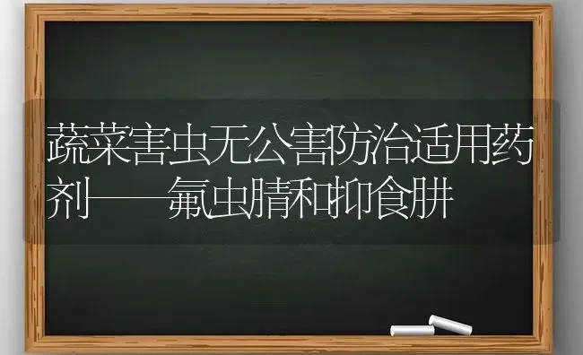 蔬菜害虫无公害防治适用药剂——氟虫腈和抑食肼 | 蔬菜种植