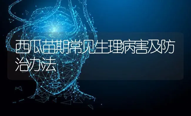 西瓜苗期常见生理病害及防治办法 | 瓜果种植