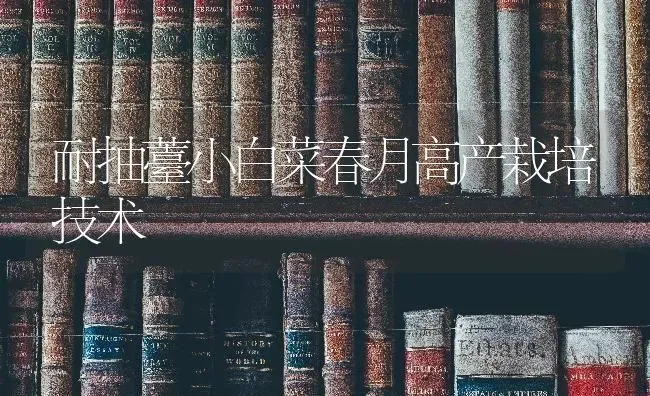 耐抽薹小白菜春月高产栽培技术 | 蔬菜种植