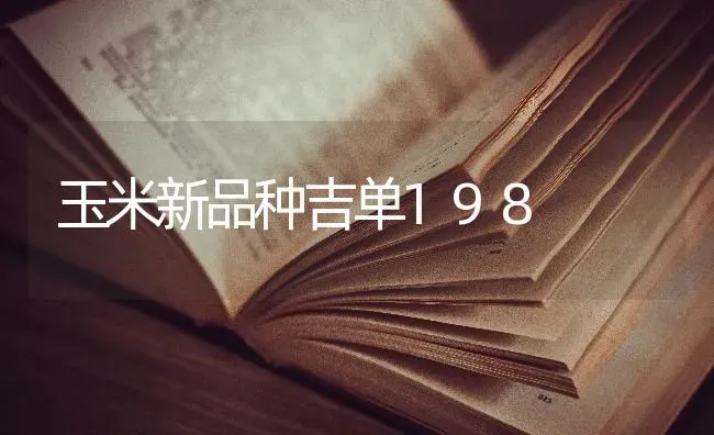玉米新品种吉单198 | 粮油作物种植