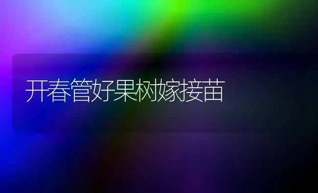 开春管好果树嫁接苗 | 瓜果种植