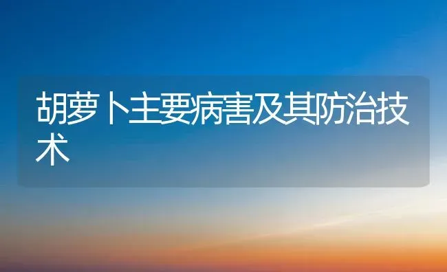 胡萝卜主要病害及其防治技术 | 蔬菜种植
