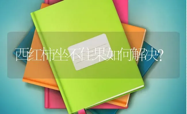 西红柿坐不住果如何解决？ | 瓜果种植