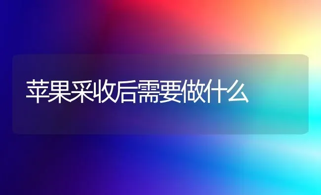 苹果采收后需要做什么 | 瓜果种植