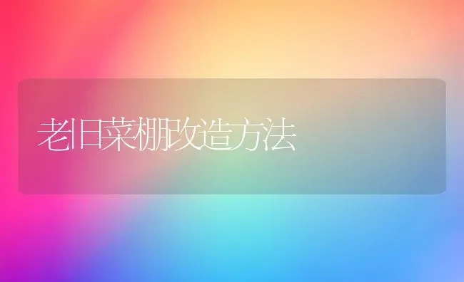 老旧菜棚改造方法 | 蔬菜种植