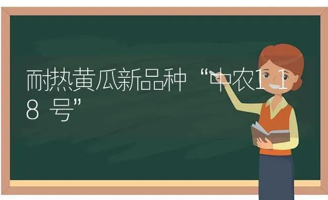 耐热黄瓜新品种“中农118号” | 蔬菜种植