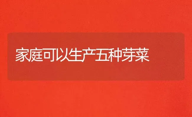 家庭可以生产五种芽菜 | 蔬菜种植