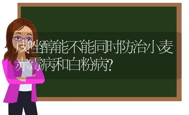 戊唑醇能不能同时防治小麦赤霉病和白粉病？ | 粮油作物种植