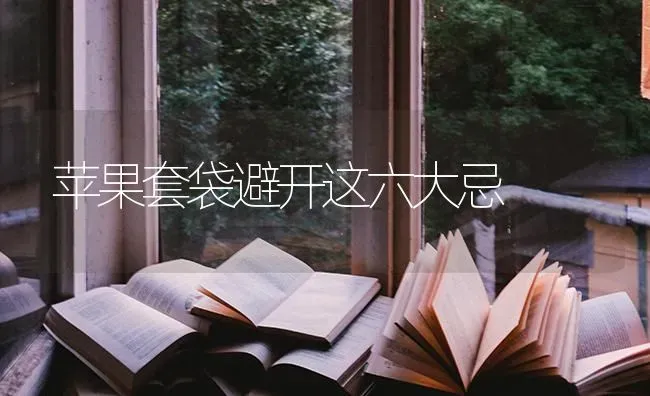 苹果套袋避开这六大忌 | 瓜果种植