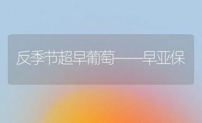 反季节超早葡萄——早亚保 | 瓜果种植