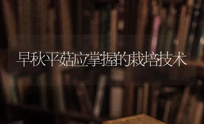 早秋平菇应掌握的栽培技术 | 食用菌种植