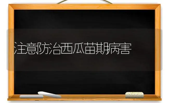 注意防治西瓜苗期病害 | 瓜果种植