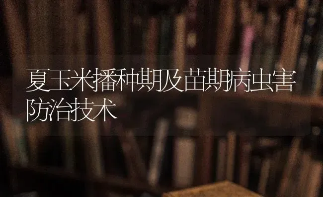 夏玉米播种期及苗期病虫害防治技术 | 种植病虫害防治