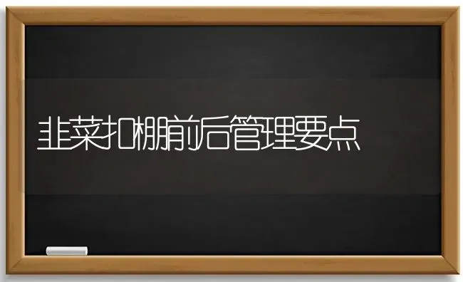 韭菜扣棚前后管理要点 | 蔬菜种植