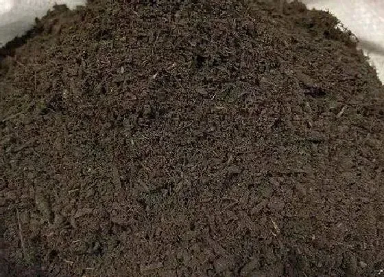 植物施肥|复合肥可以做花肥吗