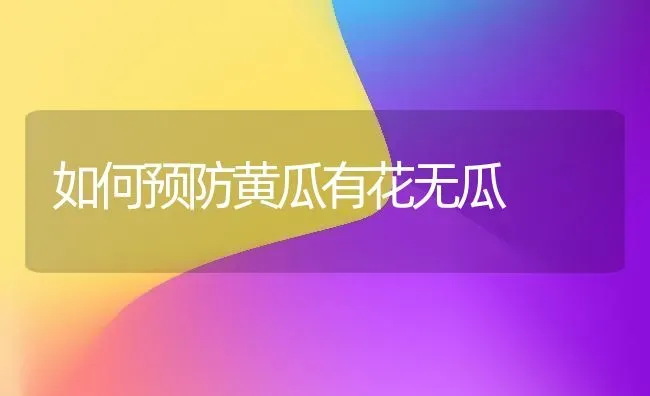 如何预防黄瓜有花无瓜 | 蔬菜种植