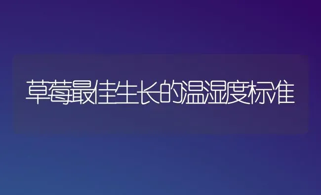 草莓最佳生长的温湿度标准 | 瓜果种植