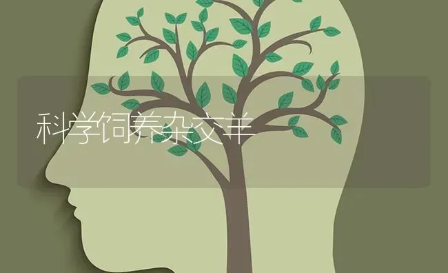白果储藏五法 | 瓜果种植