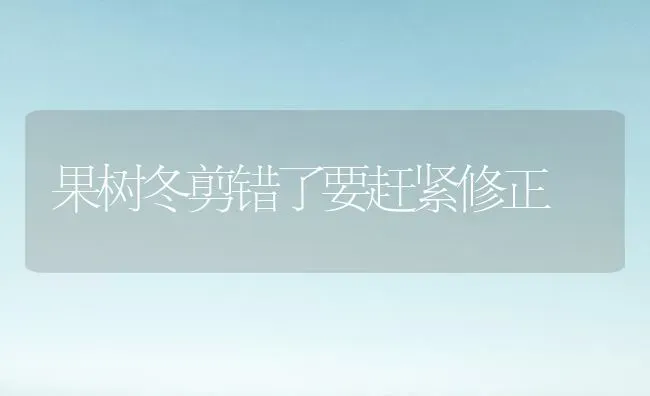 果树冬剪错了要赶紧修正 | 瓜果种植