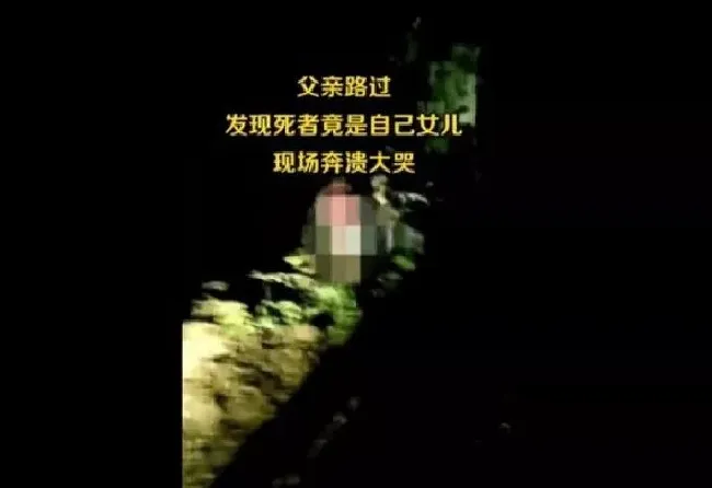 风水百科|海南一父亲遇车祸救人 发现死者却是自己女儿