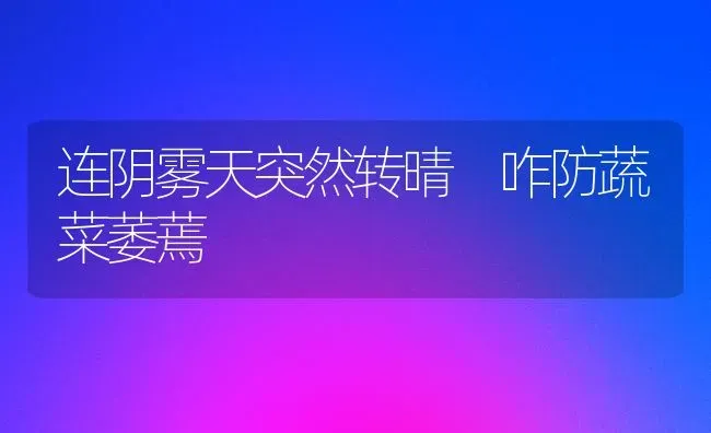连阴雾天突然转晴 咋防蔬菜萎蔫 | 蔬菜种植
