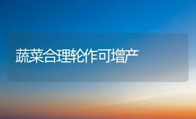 蔬菜合理轮作可增产 | 蔬菜种植