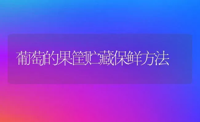 葡萄的果筐贮藏保鲜方法 | 瓜果种植