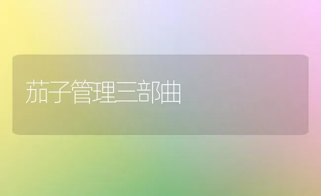 茄子管理三部曲 | 蔬菜种植