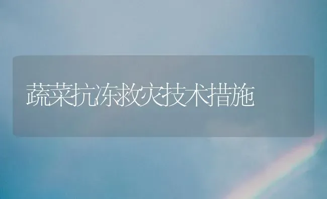 蔬菜抗冻救灾技术措施 | 蔬菜种植
