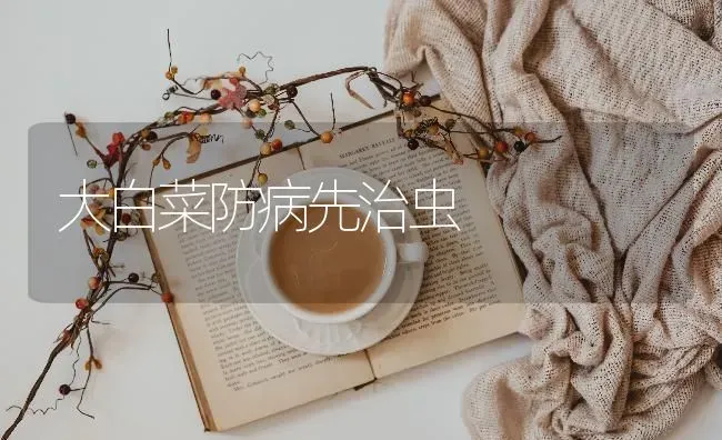大白菜防病先治虫 | 蔬菜种植