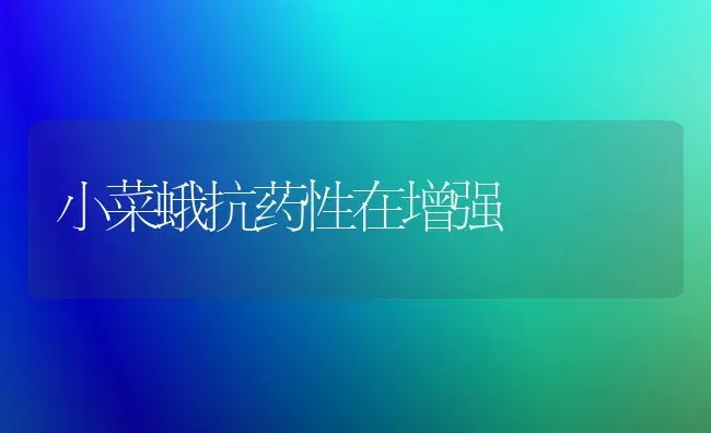 小菜蛾抗药性在增强 | 蔬菜种植