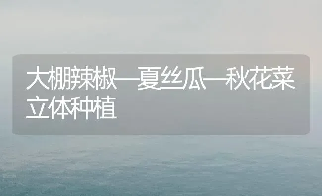 大棚辣椒—夏丝瓜—秋花菜立体种植 | 植物种植百科