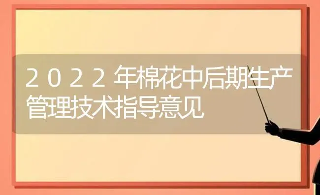 2022年棉花中后期生产管理技术指导意见 | 粮油作物种植