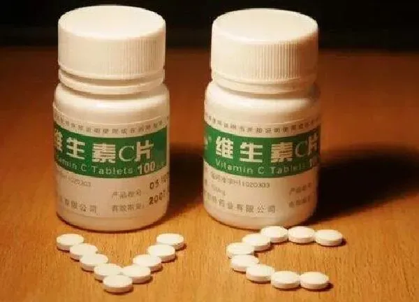 植物浇水|维生素c可以浇长寿花吗