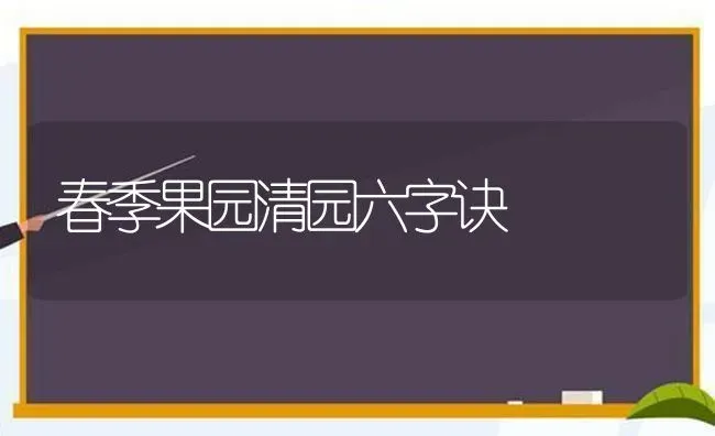 春季果园清园六字诀 | 瓜果种植