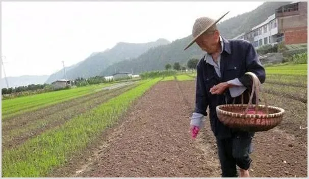 春耕记住这些选种要点，增产增收有保障！ | 种植病虫害