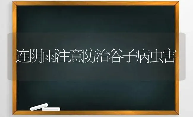 连阴雨注意防治谷子病虫害 | 种植病虫害防治