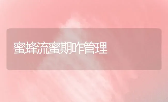 春季大棚黄瓜巧管理 | 蔬菜种植