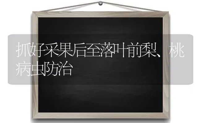 抓好采果后至落叶前梨、桃病虫防治 | 瓜果种植