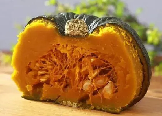 食用常识|南瓜需要去皮吗（吃南瓜去皮好还是不去皮好）