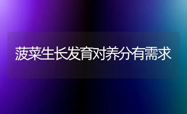 菠菜生长发育对养分有需求 | 蔬菜种植