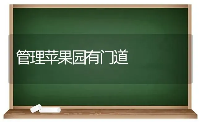 管理苹果园有门道 | 瓜果种植