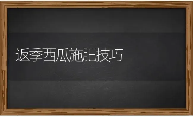 返季西瓜施肥技巧 | 种植肥料施肥