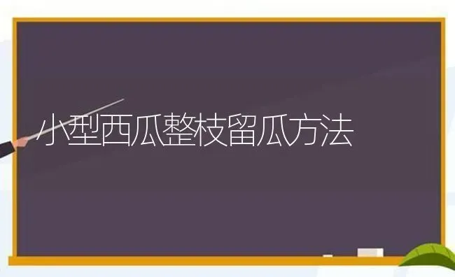 小型西瓜整枝留瓜方法 | 瓜果种植