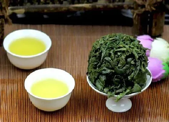 植物泡水|铁观音属于什么绿茶还是红茶（铁观音茶叶哪里的最正宗）