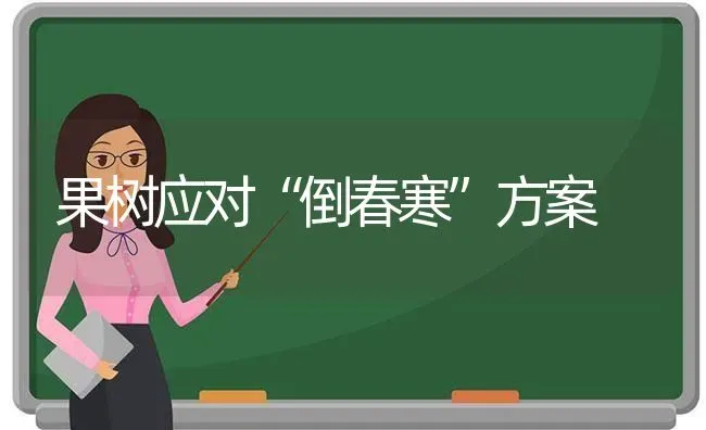 果树应对“倒春寒”方案 | 瓜果种植